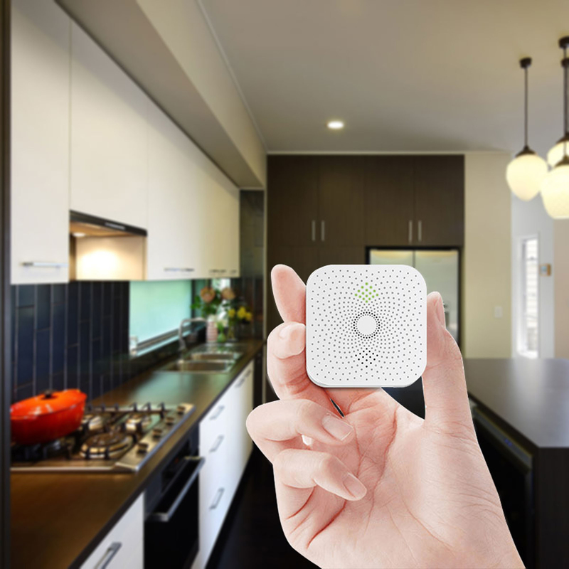 CH4 Gas Alarm Detector For Hilton Hotel Use With CE RoHS