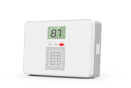 Kitchen Visual Audible CO Alarm Detector Carbon Monoxide And Gas Detector