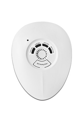 Hotel 85dB Natural Gas Detector 10% LEL Fire Alarm For Restaurant